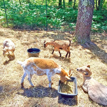 Campingplatz Lou Pignada *