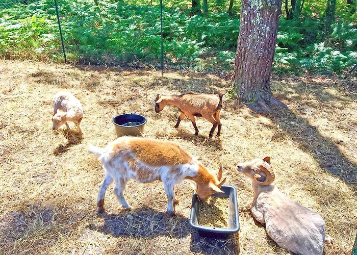 אתר קמפינג Lou Pignada *